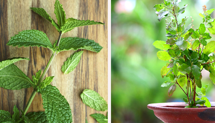 homemade face packs to treat pimple and acne prone skin,skin care tips,beauty tips,beauty hacks