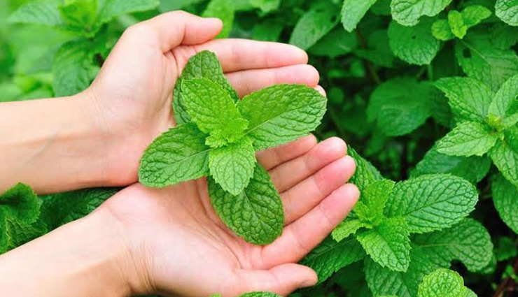 homemade face pack,oily skin face pack,tips for oily skin,skin care tips,besan and curd face pack,mint face pack,lemon juice and honey face mask,cucumber face mask,multani mitti face pack,beauty tips