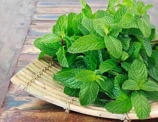 9 Mint Face Packs For Glowing Skin