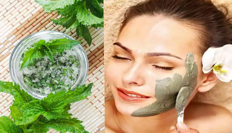 beauty tips,beauty tips in hindi,homemade mint mask,summer beauty tips,skincare tips