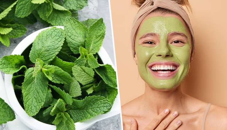 Revive Your Skin with These 8 DIY Mint Face Packs for Summer Skincare