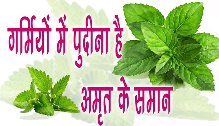 Summer Special : पेट की समस्‍याओं से राहत दिलाएगा पुदीना, इन 5 तरीकों से करें इसका सेवन