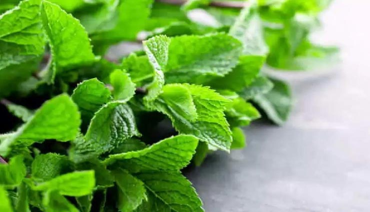 Health tips,health tips in hindi,home remedies,back acne