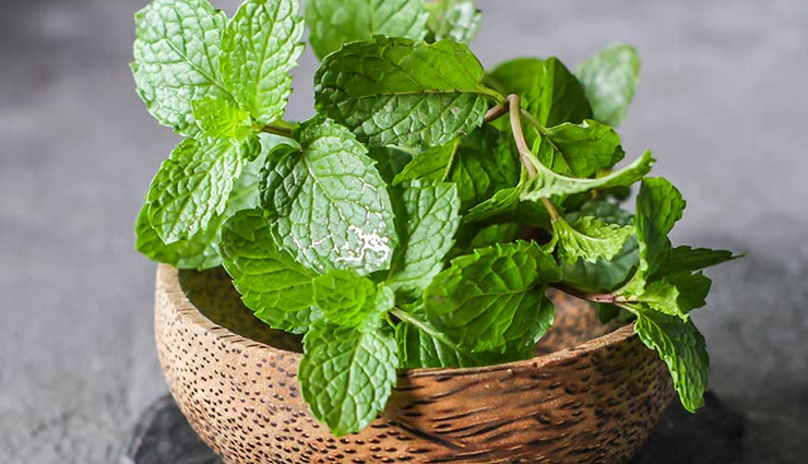 6 DIY Ways To Use Mint Leaves To Get Rid of Acne Scars
