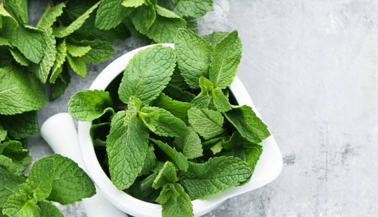 pudine ki chatni recipe,mint chutney recipe,homemade mint chutney,easy pudine ki chatni recipe,authentic pudine ki chatni,quick mint chutney recipe,indian pudine ki chatni,vegan mint chutney,gluten-free pudine ki chatni,healthy mint chutney,spicy mint chutney,mint and coriander chutney recipe,indian condiment recipe,dip recipe,green chutney recipe