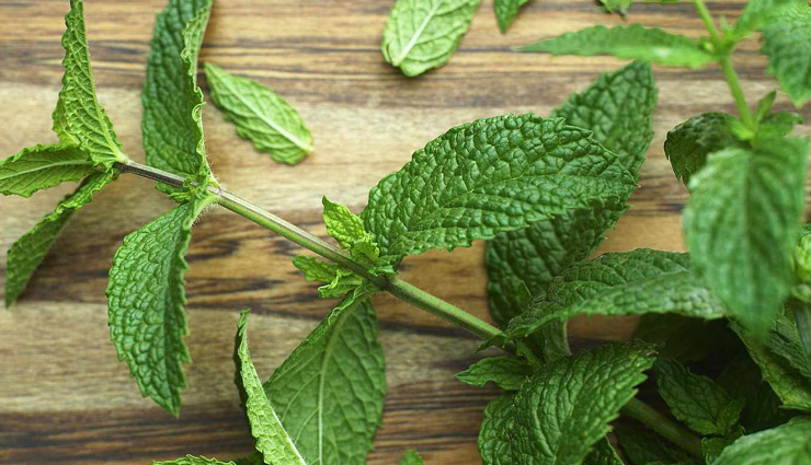 cooling spices,summer spices,refreshing spices,mint benefits,coriander cooling properties,fennel for digestion,cardamom in cuisine,cumin health benefits,cinnamon cooling effect,turmeric uses,saffron benefits,cilantro cooling properties,ginger in summer,spice for hot weather,beat the heat spices