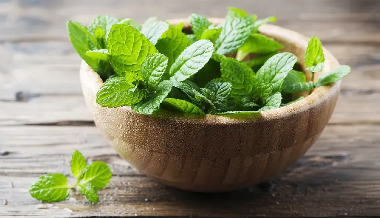 10 DIY Ways To Use Mint Leaves for Skin and Hair