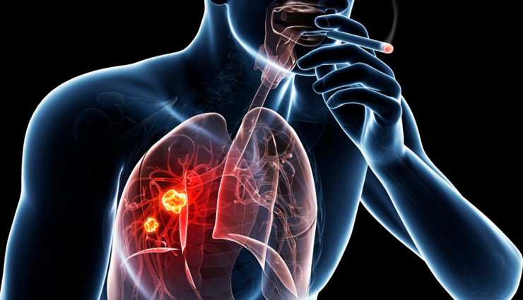 health benefits of mint leaves,mint leaves,Health tips,fitness tips