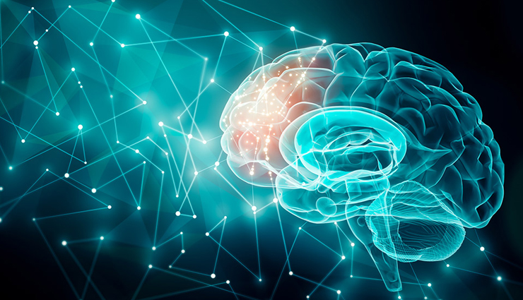 health benefits of mint leaves,mint leaves,Health tips,fitness tips