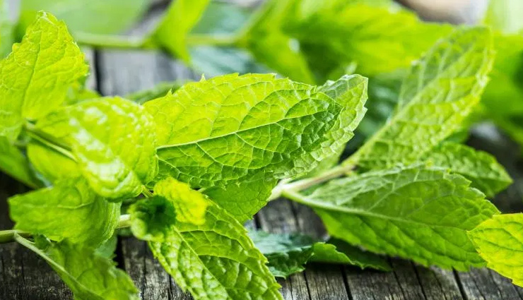 benefits of mint leaves for skin,beauty benefits of mint leaves,mint leaves,beauty tips,skin care tips
