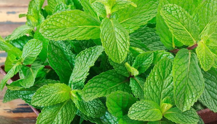 cucumber face mask,homemade skincare recipes,nourishing skin masks,diy beauty treatments,natural skincare remedies,cucumber benefits for skin,easy homemade facial masks,skin rejuvenation recipes,diy cucumber beauty treatments,skin nourishment with cucumbers