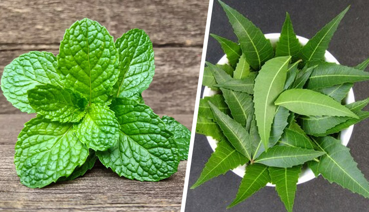 diy face packs for oily skin,summer skincare for oily skin,natural remedies for oily skin,cucumber face pack for oily skin,aloe vera for oily skin,multani mitti for oily skin,homemade face packs for summer,green tea face pack for oily skin,neem face pack for acne,cooling face packs for oily skin,how to treat oily skin in summer