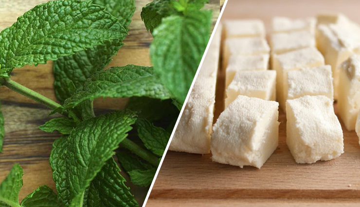 pudina paneer paratha recipe,refreshing twist to classic parathas,mint paneer paratha,flavored paratha recipe,indian stuffed bread with mint and paneer,quick and easy paratha recipe,healthy and delicious flatbread,unique paratha variation,fresh mint and cheese paratha,flavorful vegetarian paratha