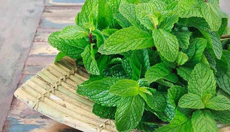 skin toners,diy skin toners,7 diy skin toners,skin care tips,beauty,beauty tips,green tea toner,aloe vera toner,papaya toner,apple cider vinegar toner,ice,mint leaf toner,cucumber toner,beauty hacks