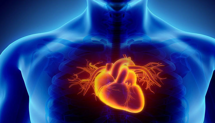 health benefits of mirabelle plum,Health tips,fitness tips,mirabelle plum