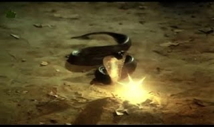 miraculous things,change destiny