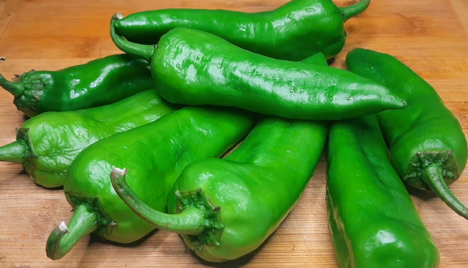 bharwan mirchi vada,bharwan mirchi vada tasty,bharwan mirchi vada delicious,bharwan mirchi vada ingredients,bharwan mirchi vada recipe,bharwan mirchi vada winter,bharwan mirchi vada tea