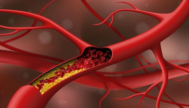 miswak health benefits,miswak toothbrush,salvadora persica tree twigs,natural oral hygiene tool,miswak oral benefits,miswak for digestion,miswak and cancer protection,miswak antioxidant properties,miswak for cholesterol reduction,benefits of using miswak,miswak oral care,miswak dental hygiene,miswak benefits for gums,miswak antibacterial properties,miswak for bad breath,miswak natural toothpaste,miswak for plaque removal,miswak traditional oral care,miswak for oral health maintenance,miswak teeth cleaning