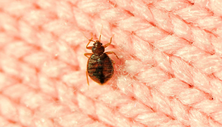 asthma,asthma problem,asthma treatment,home remedies to treat asthma,asthma treatment at home,what is asthma,Health,Health tips