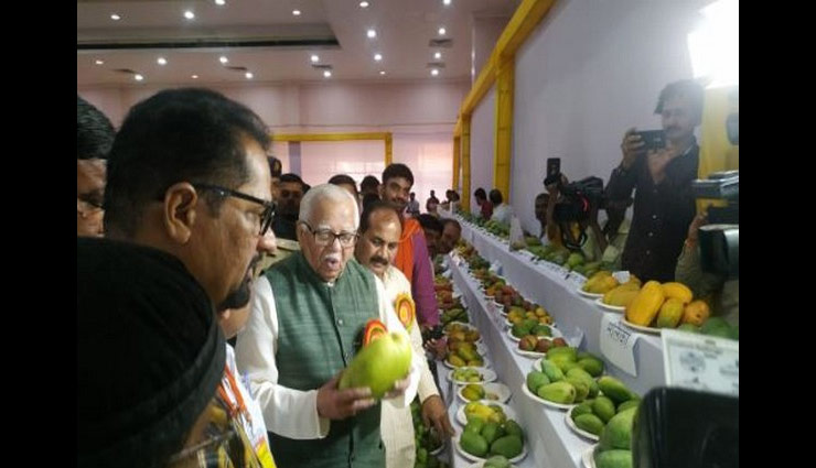 modi mango,lucknow,mango festival,narendra modi,news,news in hindi