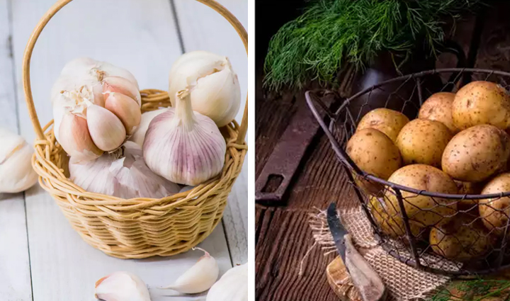 6 Home Remedies To Help You Get Rid of Moles - lifeberrys.com