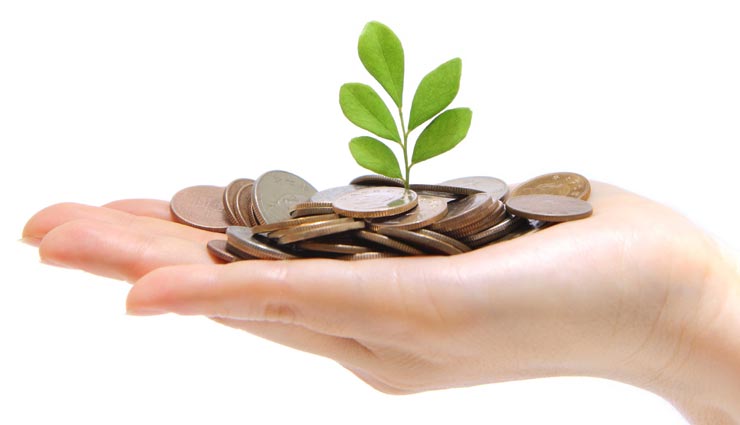 घर में लगाए ये 5 पौधे, पैसे और तरक्की में नहीं आएगी कोई रूकावट