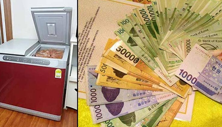 एक फ्रिज की वजह से रातोंरात अमीर बना शख्स, मामला कर देगा सोचने पर मजबूर 