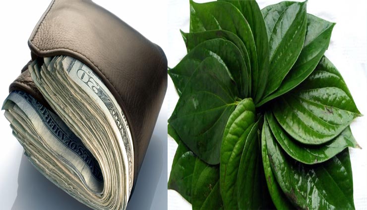 astro tips,astro tips in hindi,things in wallet,money in wallet,increase money in wallet tips