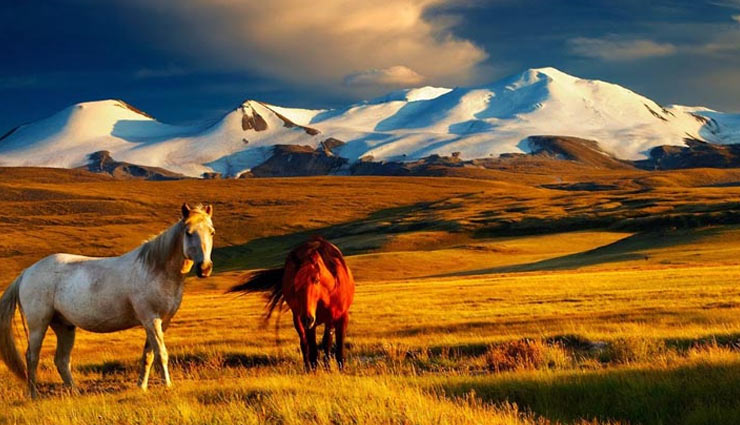 भारत से भी सस्ता पड़ता है इन 4 देशों में घूमना, करें विदेश यात्रा की चाहत पूरी 