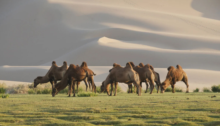 5 Amazing Places To Visit in Mongolia