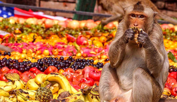 thailand,thailand tourist visa,thailand tourist attractions,thailand tourist restrictions,thailand tourist visa covid,thailand tourist travel,thailand tourist cities,thailand tourist map,thailand tourism covid,thailand tourist arrivals,thailand tourist areas,thailand tourist ban,thailand tourist board,thailand tourist bus,thailand tourism borders,travel,holidays,travel tips