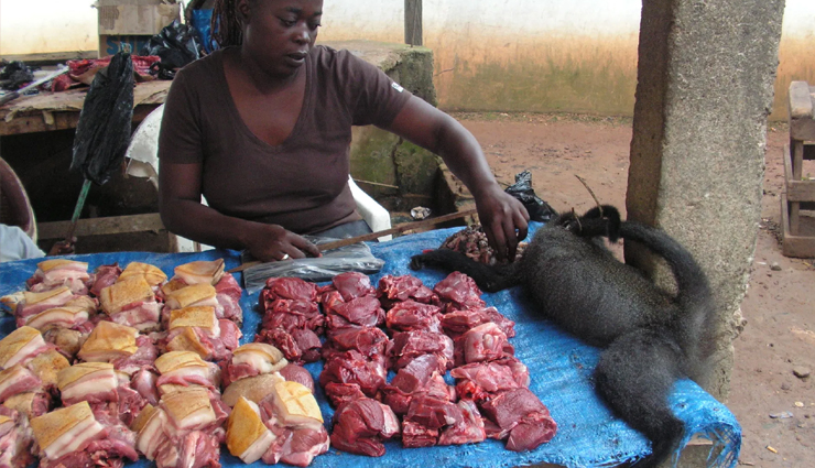 nigerian food,weird nigerian food,travel,holidays,travel guide