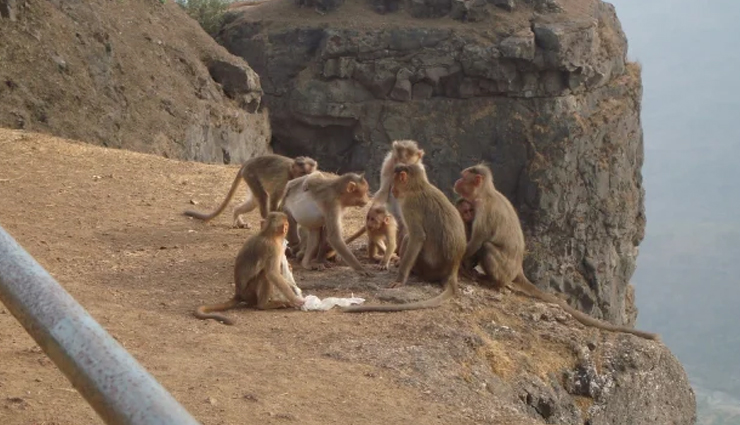 वीकेंड पर आने वाले पर्यटकों के लिए परफेक्ट डेस्टिनेशन है माथेरान, जानें यहां के दर्शनीय स्थल matheran weekend getaway,ideal weekend destination: matheran,perfect weekend escape: matheran,best weekend spot matheran,scenic beauty of matheran,matheran a nature lover paradise,adventure activities in matheran,matheran hill station: a tourist delight,explore matheran on a weekend,budget-friendly weekend trip to matheran