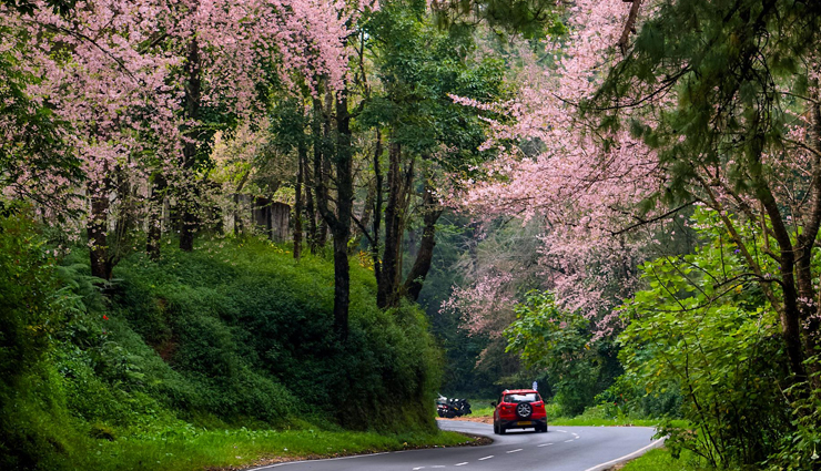 monsoon destinations,monsoon destinations in india,india,shillong,goa,leh & ladakh,periyar national park,the valley of flowers national park