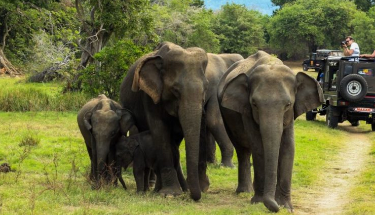 monsoon destinations,monsoon destinations in india,india,shillong,goa,leh & ladakh,periyar national park,the valley of flowers national park