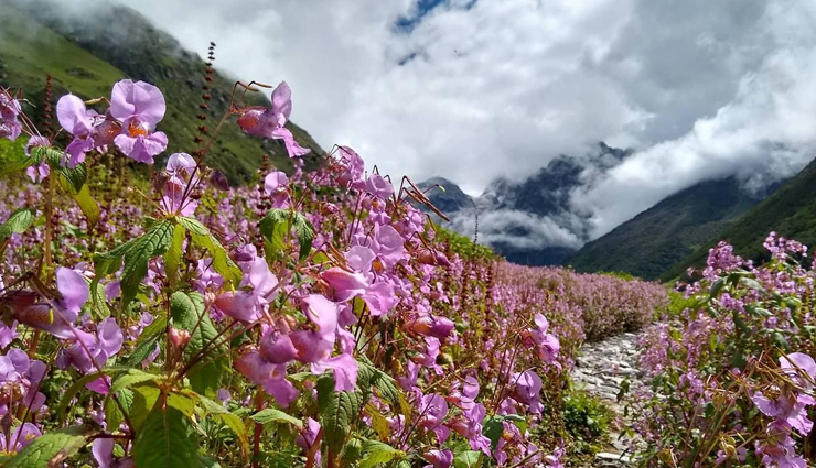 destinations in india,monsoon destinations in india,india,places to visit in india,places to visit in india in rainy days,shillong,goa,leh & ladakh,periyar national park,the valley of flowers national park