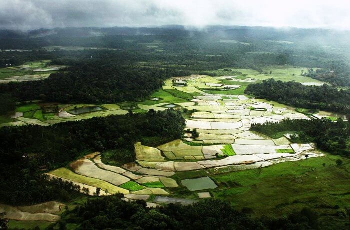 places to visit during monsoon,monsoon places in india,india,monsoon,coorg,karnataka,shillong,meghalaya,munnar,kerala,valley of flowers,uttarakhand,udaipur,rajasthan