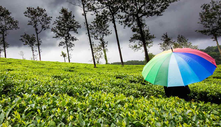 7 Best Places To Visit in India In Monsoon