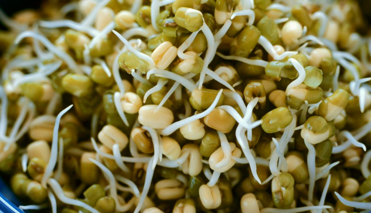 bean sprout rolls,sprout rolls recipe,bean sprout roll recipe,roll recipe,recipe,healthy recipe,breakfast recipe