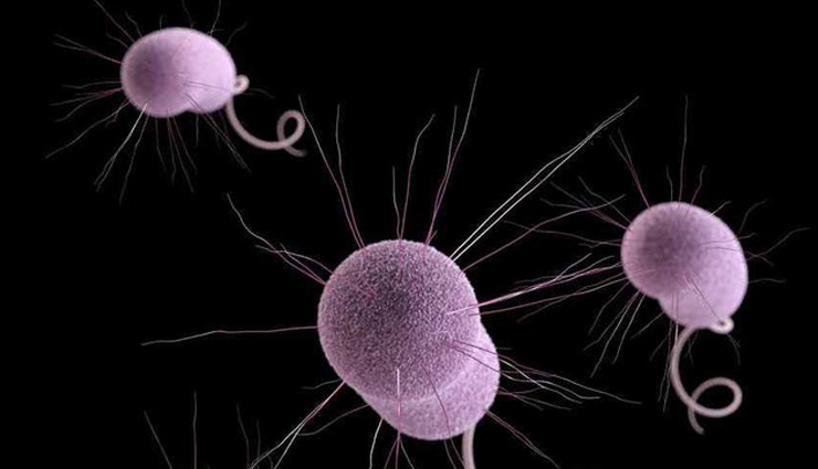 mung bean sprouts,harmful effects,excess consumption,food poisoning,bacterial contamination,salmonella,e coli,listeria,allergies,digestive problems,gas and bloating,diarrhea,nutrient absorption,oxalates,thyroid function,goitrogens,interference with iodine absorption,raw sprouts,cooking sprouts,safe consumption