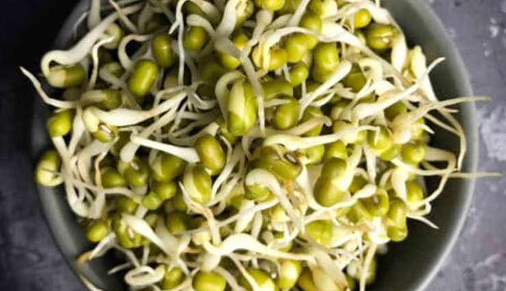 moong sprouts dosa recipe,healthy dosa recipe with moong sprouts,nutritious moong sprouts dosa,moong sprouts dosa preparation,moong sprouts dosa cooking time,protein-rich dosa recipe,moong sprouts dosa step-by-step,south indian moong dosa,healthy breakfast recipe with sprouts,quick and easy moong sprouts dosa