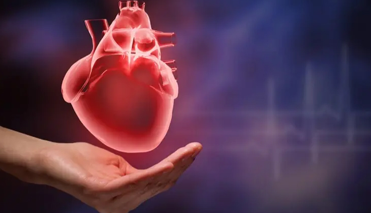 peanuts are the lifeline of winter,know the benefits of its consumption,Health,healthy living