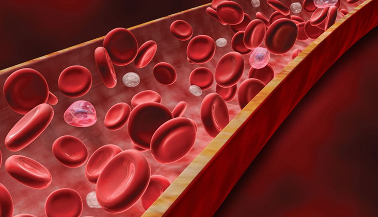 peanuts are the lifeline of winter,know the benefits of its consumption,Health,healthy living