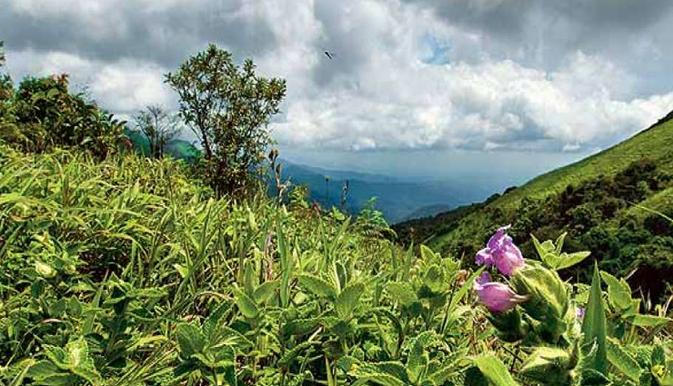 karnataka,places to visit in karnataka,monsoon destination in karnataka,ranganathittu bird sanctuary,nandi hills,brindavan gardens,nagarhole sanctuary,coastal karnataka