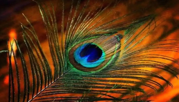 astrology tips,astrology tips in hindi,lord krishna,janmashtmi 2022