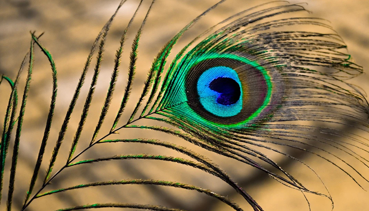 krishna janmashtami rituals,lord krishna worship guidelines,how to celebrate janmashtami,krishna janmashtami dos and donts,janmashtami puja rules,krishna janmashtami fasting tips,significance of krishna janmashtami,traditional janmashtami customs,krishnas birth celebration,krishna janmashtami observance