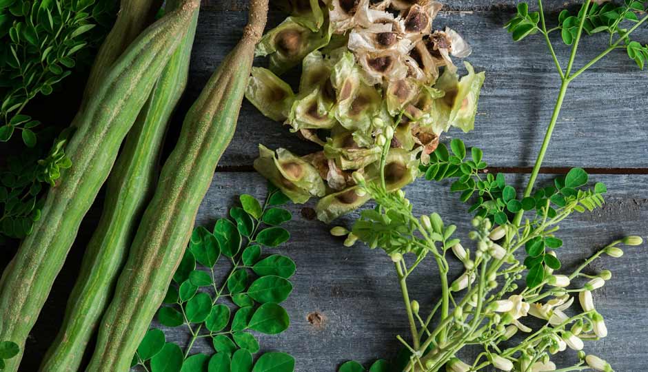 18 Amazing Health Benefits of Moringa