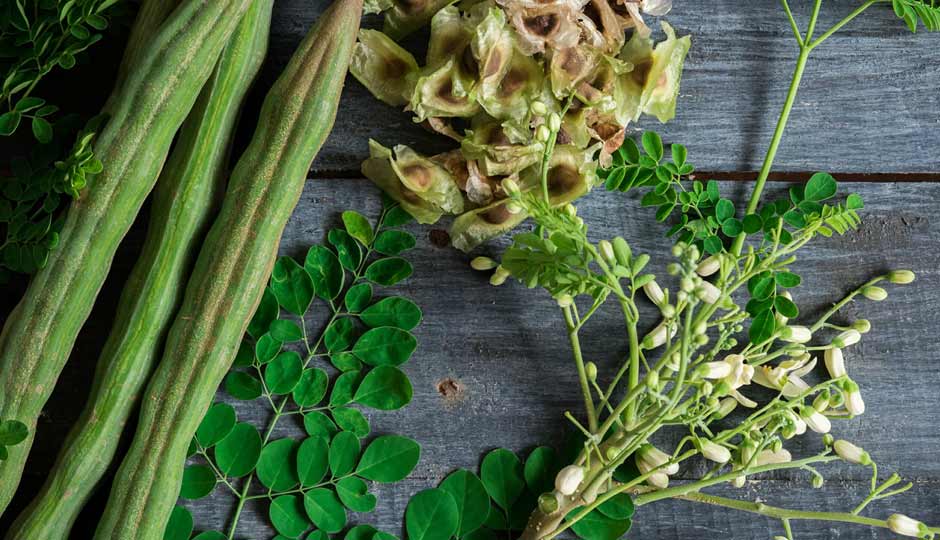 15 Benefits of Moringa for Skin and Hair