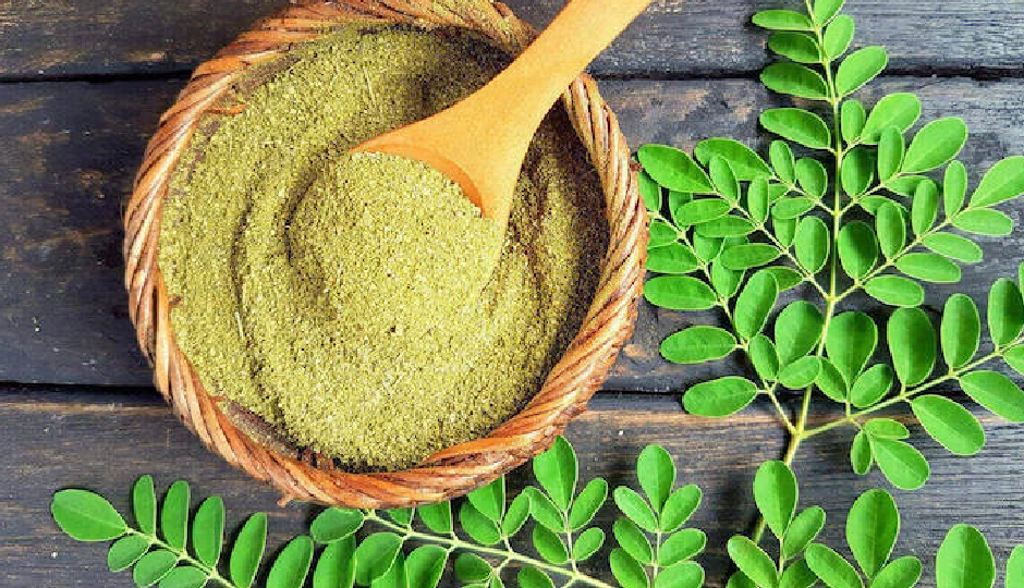 कुछ ही दिनों में पिघलेगी पेट की चर्बी, सहजन की पत्तियों का करें इस तरह इस्तेमाल