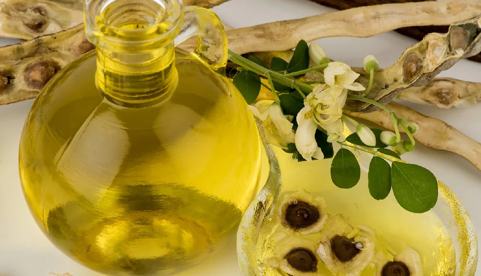 त्वचा की सेहत का खजाना है मोरिंगा तेल, विटामिन और एंटीऑक्सीडेंट से भरपूर, उम्र के असर को करेगा धीमा